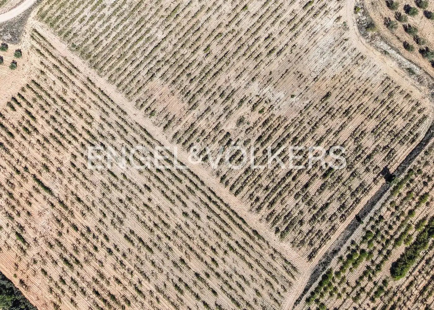 Rustikales Grundstück zum Verkauf in Utiel, imagen 10