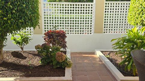 Foto 2 von Wohnungen zur Miete in Calle Aceviño, 49, Zona Botánico, Puerto de la Cruz