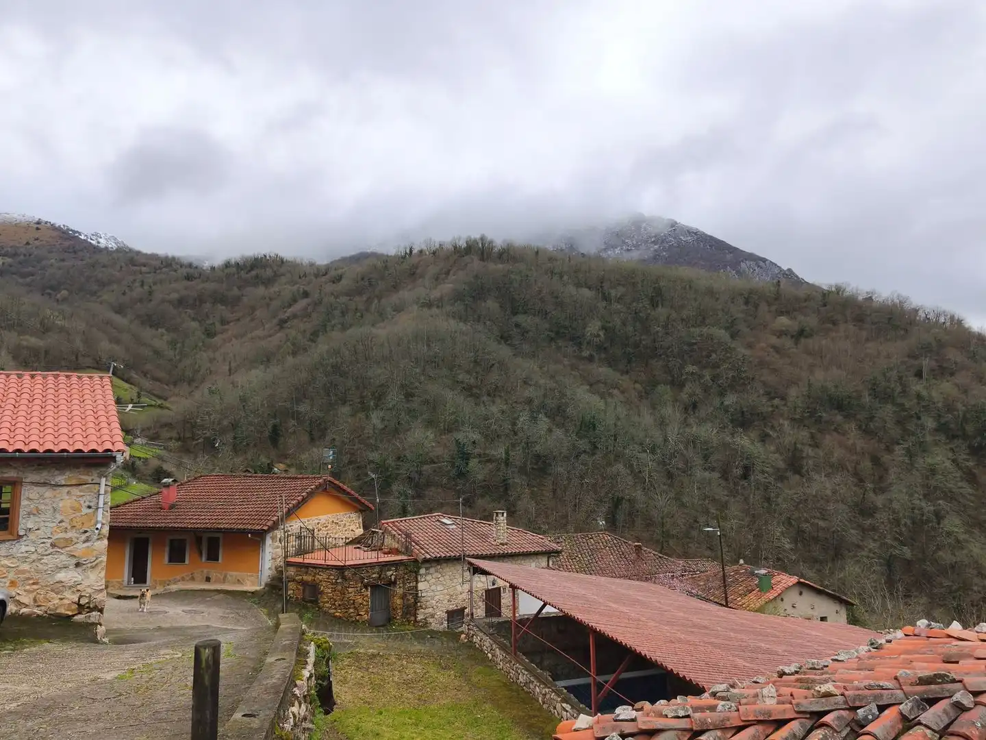Vista exterior de Casa o chalet en venta en Proaza con Piscina