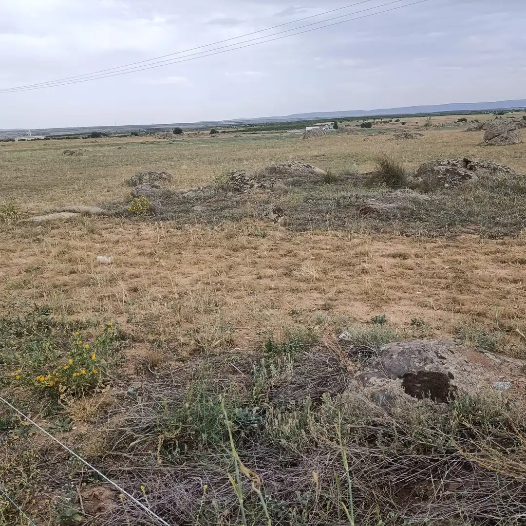 Terreni e lotti in vendita a Villaminaya