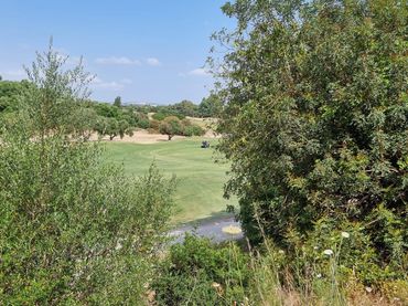 Wohnbaugrundstück zum Verkauf in Urbanizacion C.GOLF MONTECASTILLO