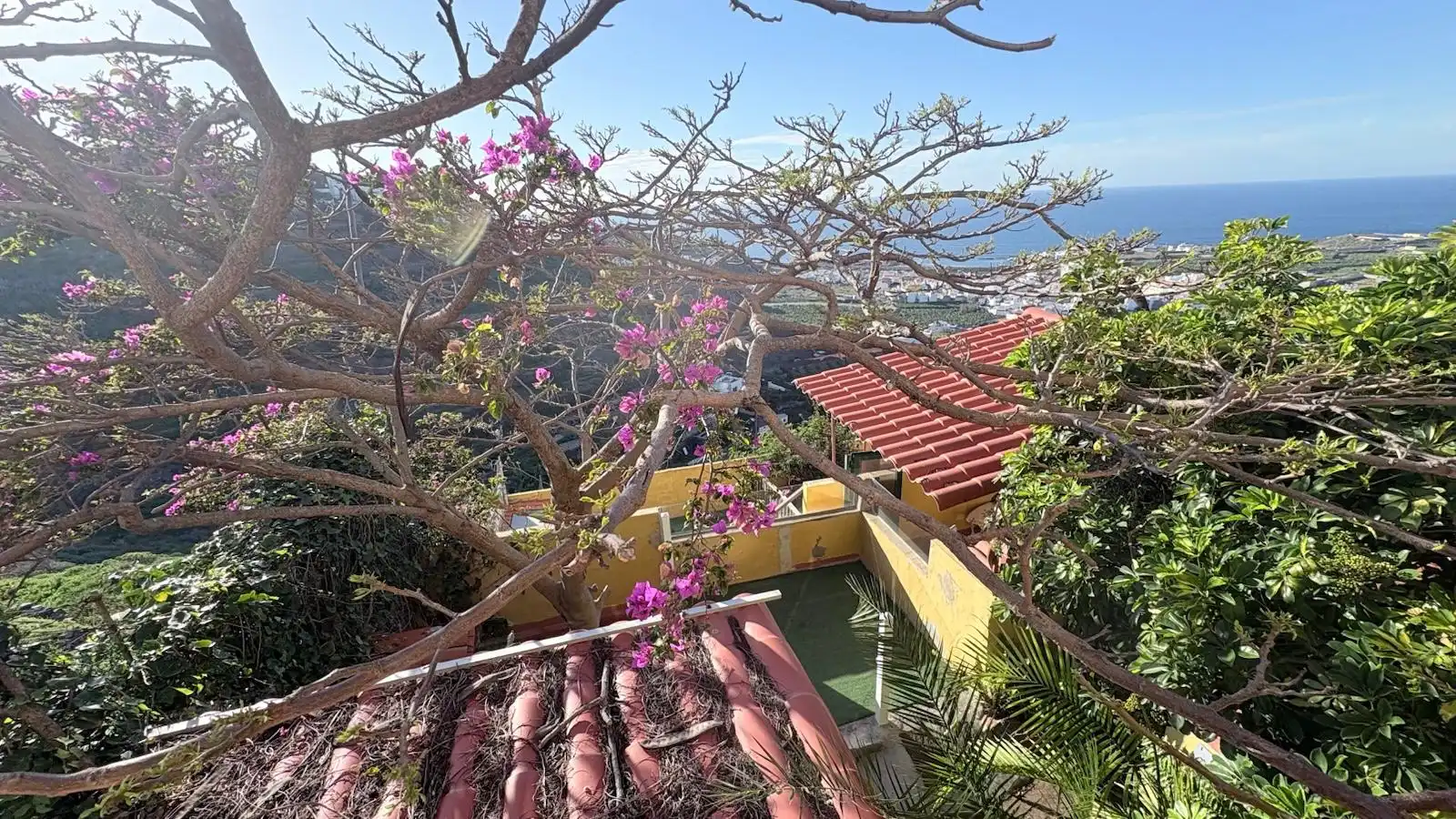 Exterior view of Detached homes for sale in Arucas  with Private garden, Storage room and Furnished