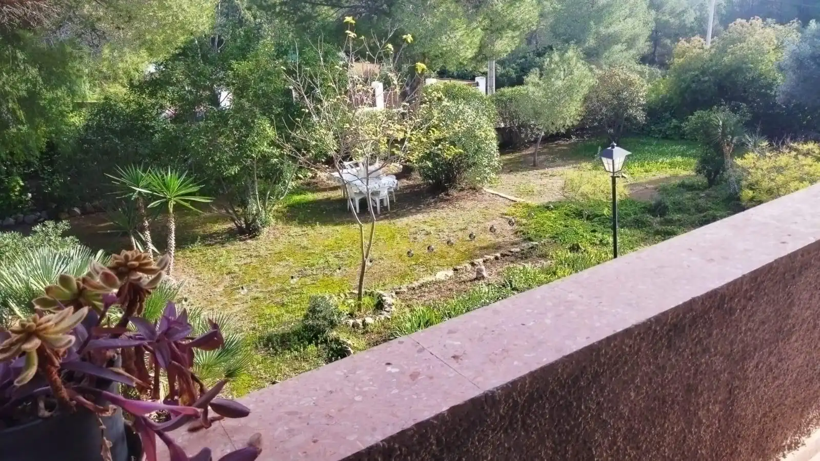 Garten von Haus oder Chalet zur Miete in Olocau mit Möbliert