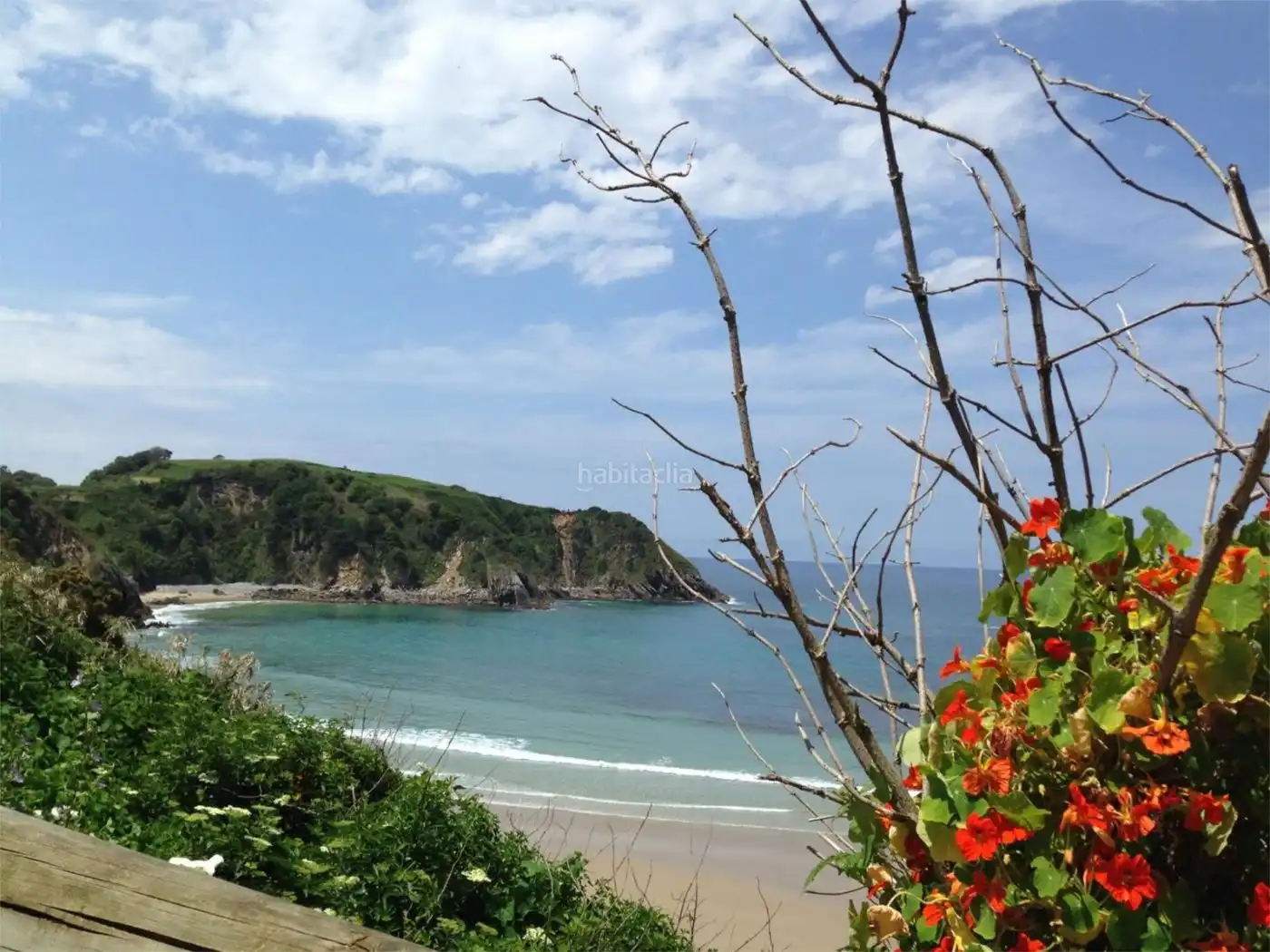 House to rent in Barrio Quintana 231, imagen 13