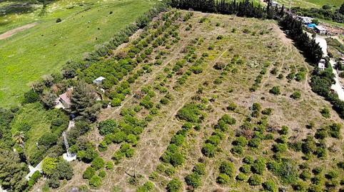 Foto 2 de Finca rústica en venta en Ds Montenegral Alto, Finca Franda Montenegral Alto, San Martín del Tesorillo, Cádiz