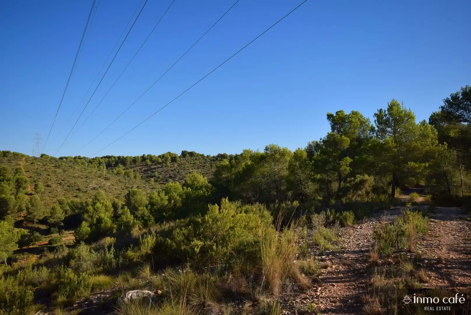 Terreny rústic en venda a L'Alcúdia de Crespins, imagen 14