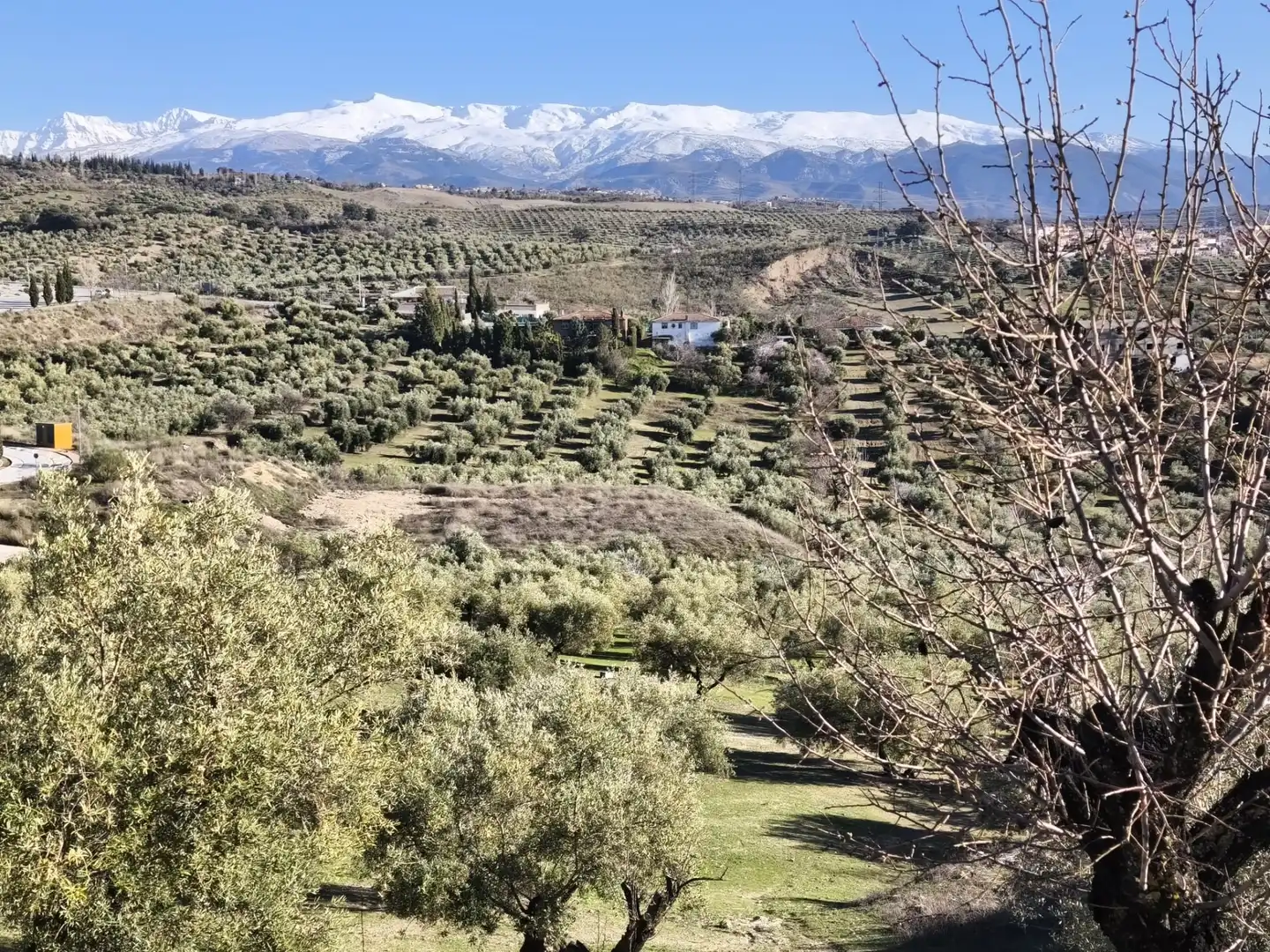 Lands and plots for sale in Alfacar, imagen 15