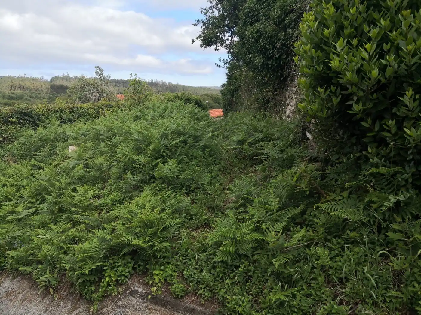 Casa o xalet en venda en Zas