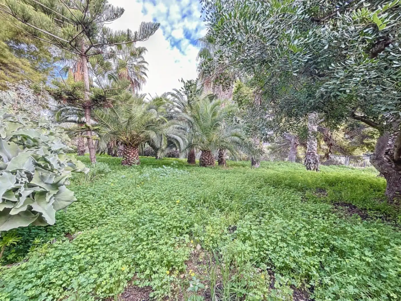 Chalet con terraza en venta en Levante Alto, imagen 47