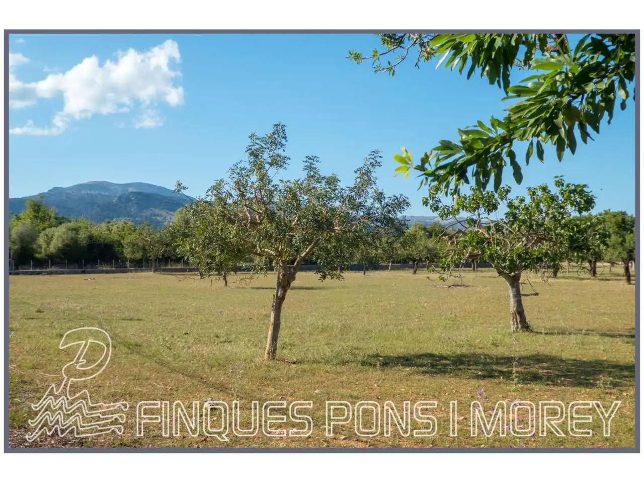 Finca rústica en venda en Campanet