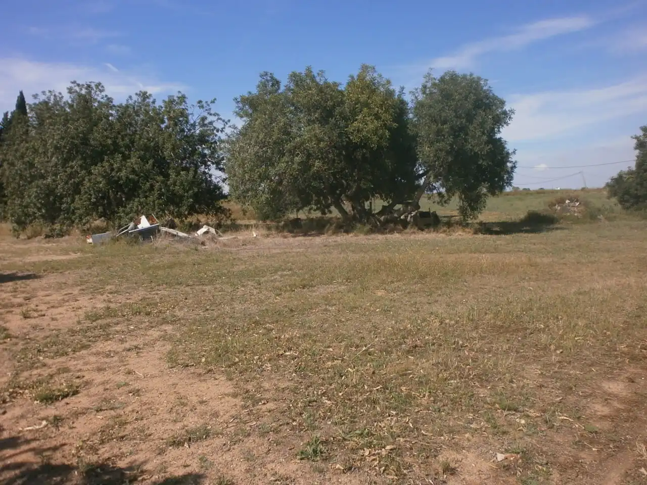 Rural land for sale in Vial Camino 1, imagen 6