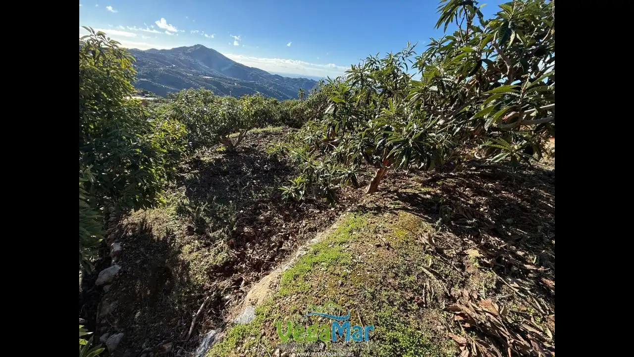 Finca rústica en venda en Otívar amb Jardí privat, Terrassa i Piscina