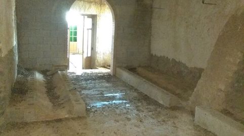 FINCA RÚSTICA CON VIVIENDA Y BODEGA, immagine 5