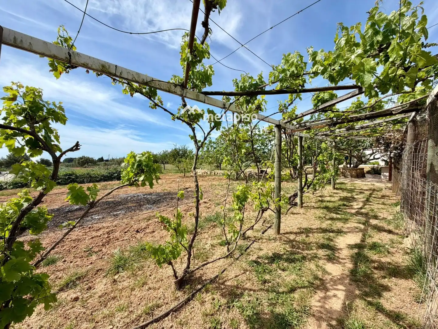 Terreno rustico in vendita a Santa Oliva, imagen 51