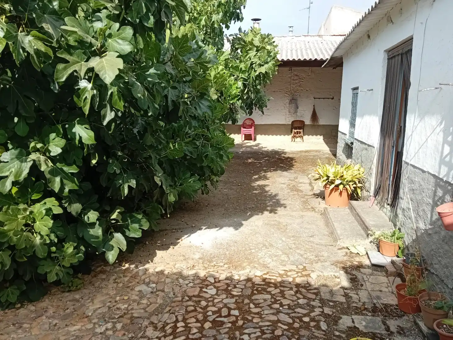 Casa rústica en venda a Torralba de Calatrava, imagen 22
