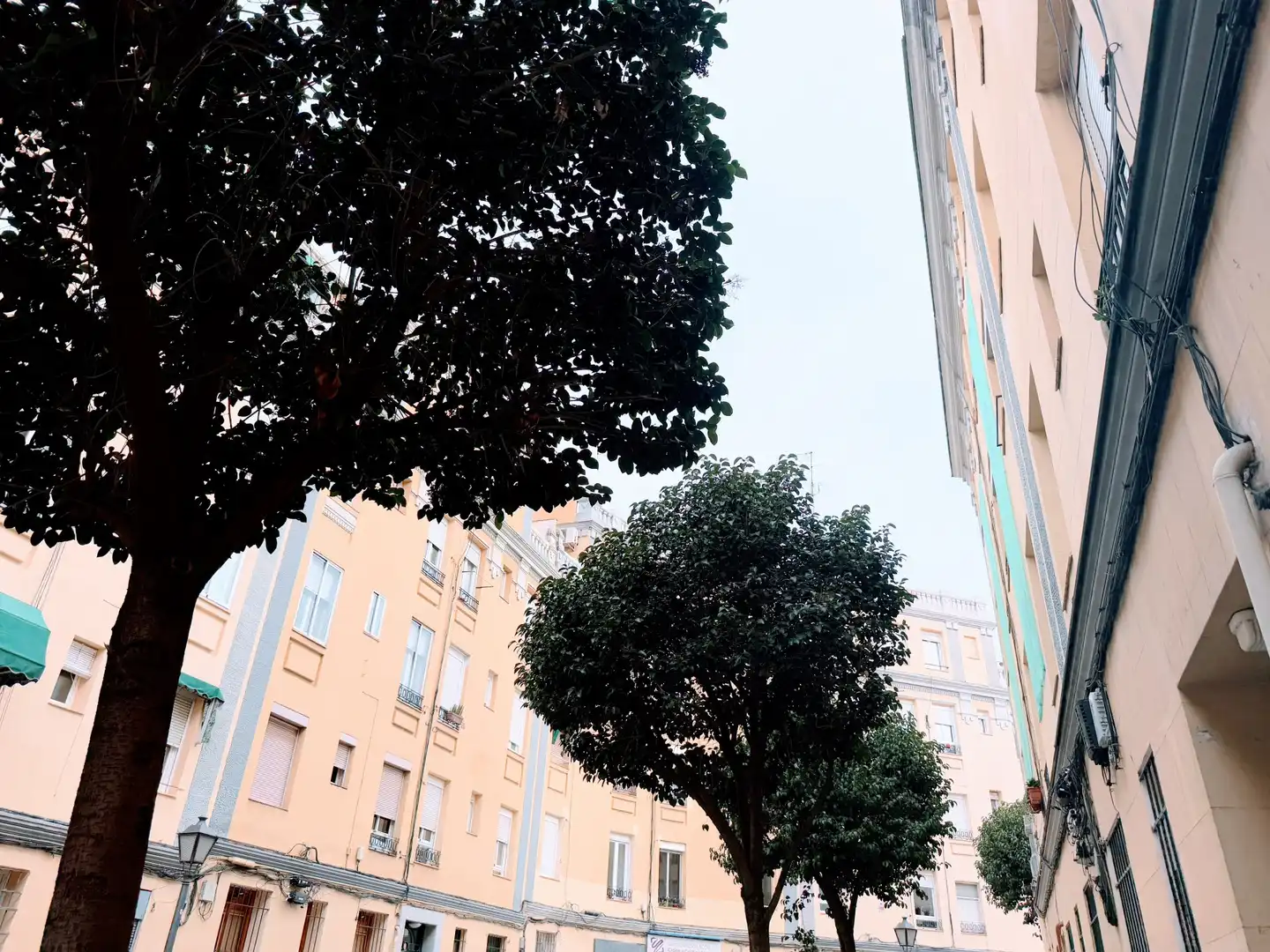 Flat with lift to rent in ENRIQUE TROMPETA, imagen 17