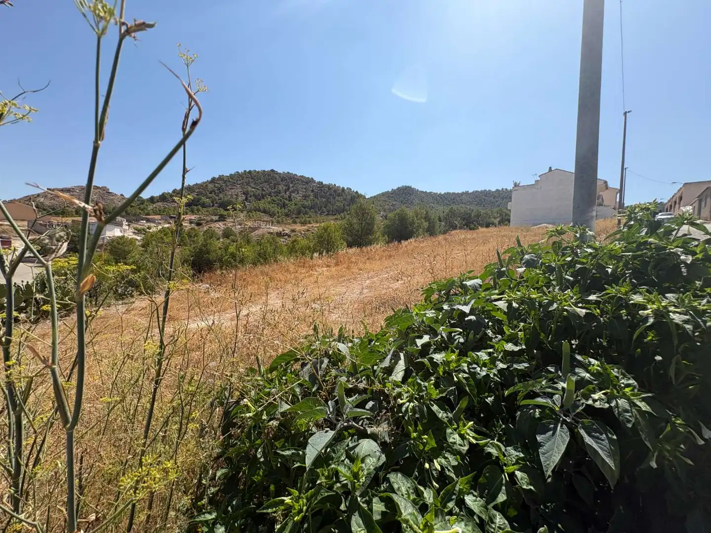 Terrenos y solares en venta en Pliego, imagen 2