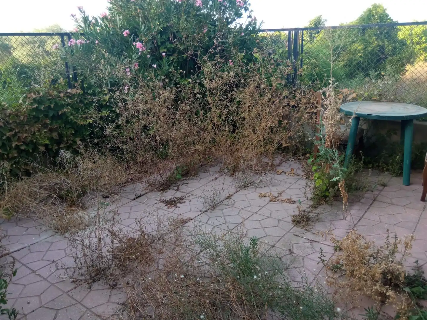 Country homes for sale in Los Ramos