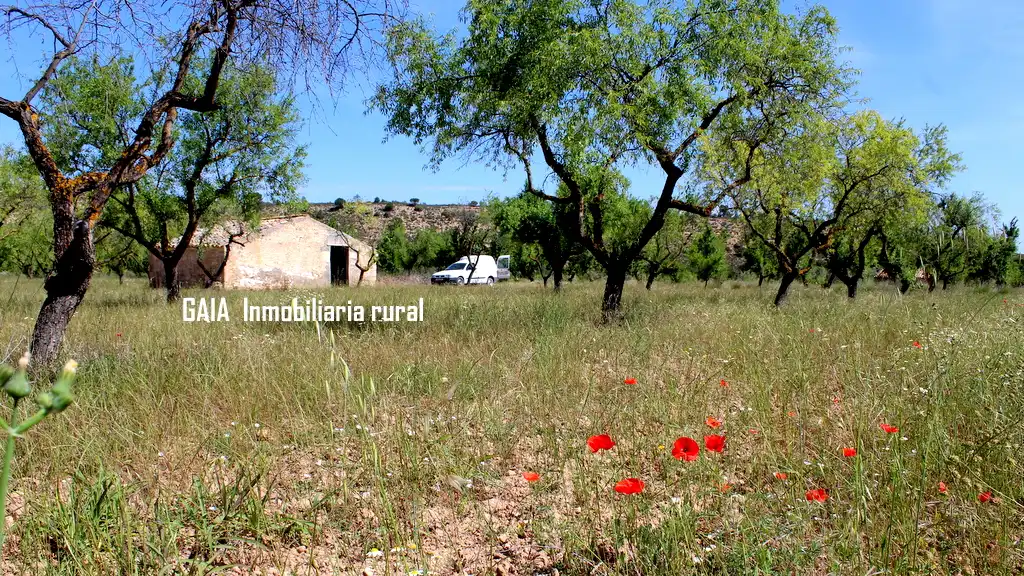 Country homes for sale in Fabara