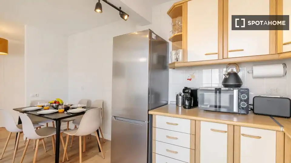 Kitchen of Flat for rent in Alicante / Alacant  with Air Conditioner, Heating and Furnished