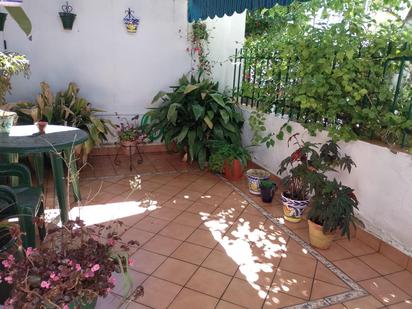 Terrace of House or chalet for sale in Santiponce  with Terrace and Balcony