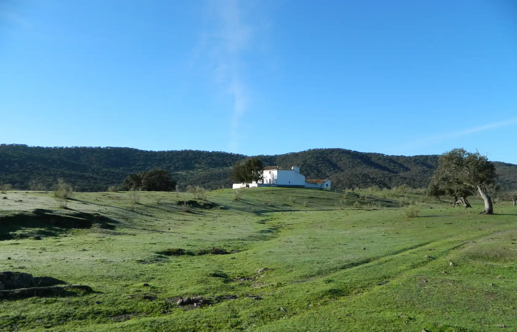 Rural land for sale in La Hispanidad - Verdeluz, imagen 14
