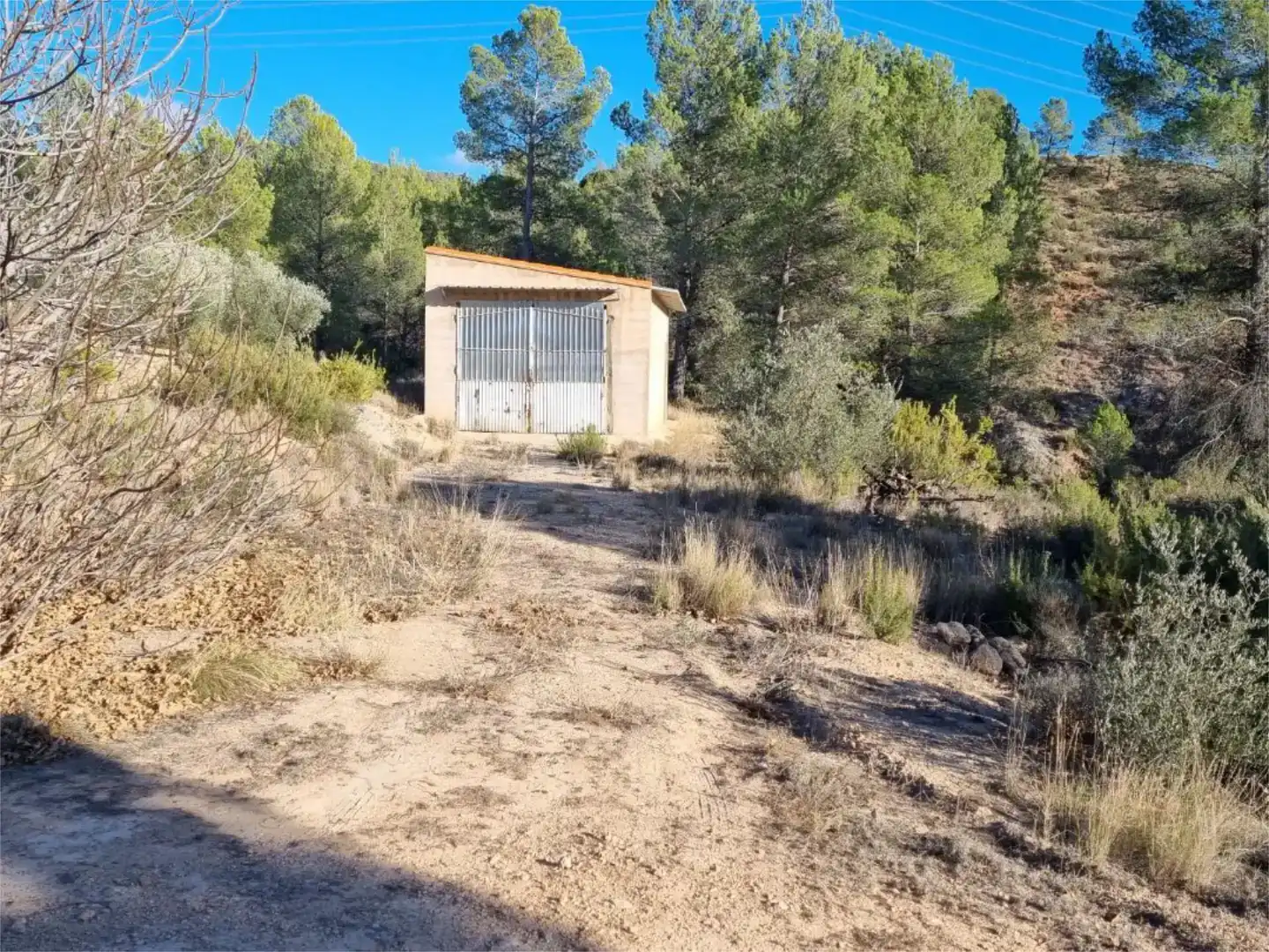 Terreno en venta en Cofrentes