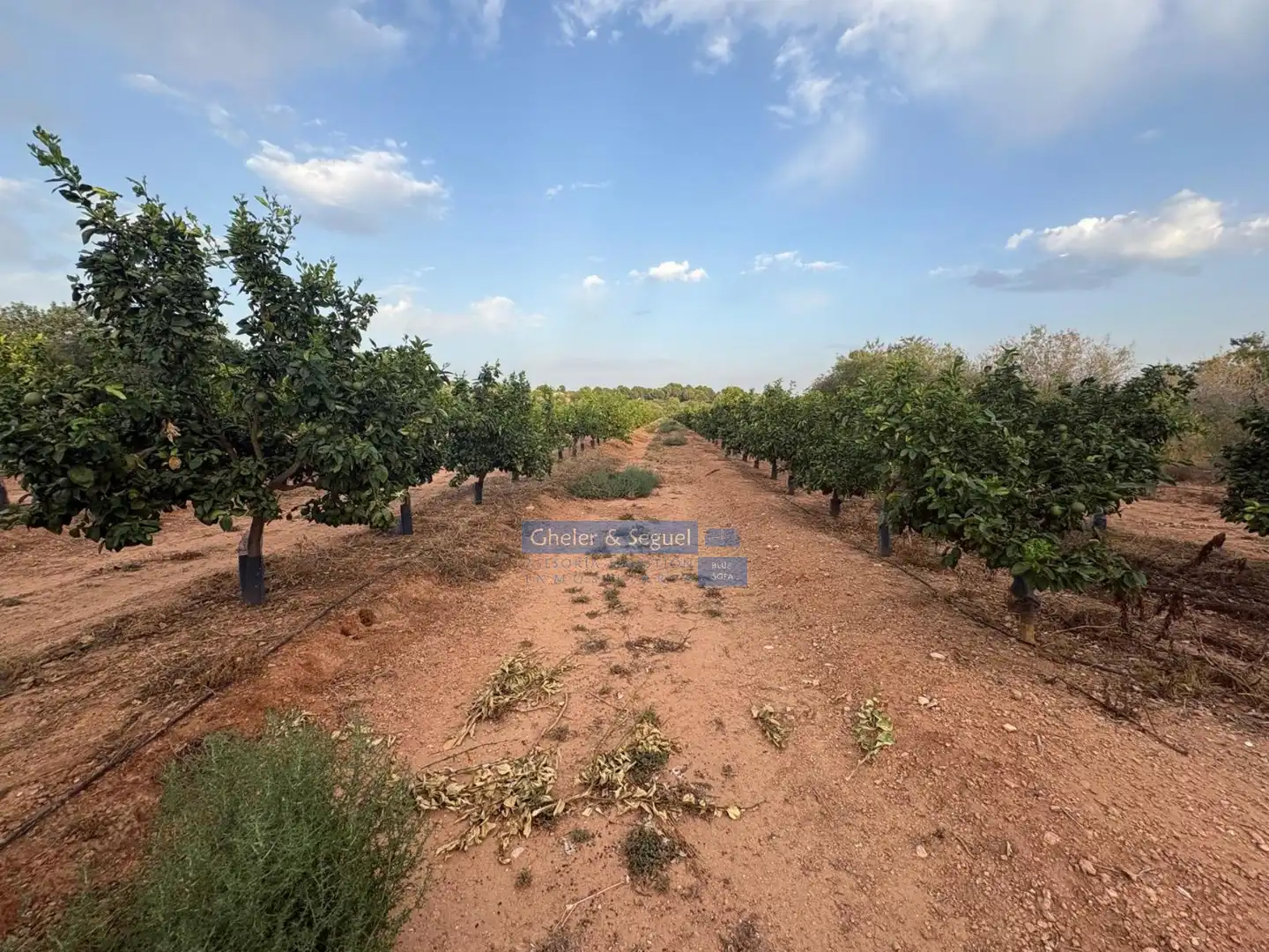 Terrenos y solares en venta en Algímia de Alfara, imagen 21