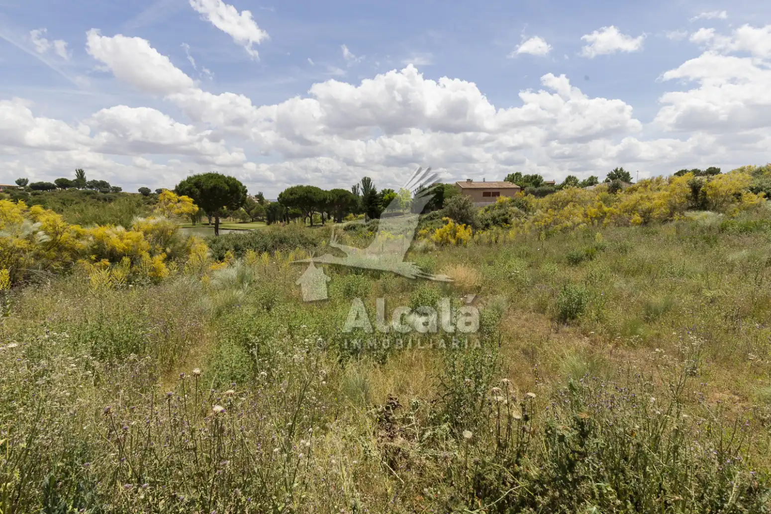 Terreny rústic en venda a Cabanillas del Campo, imagen 23