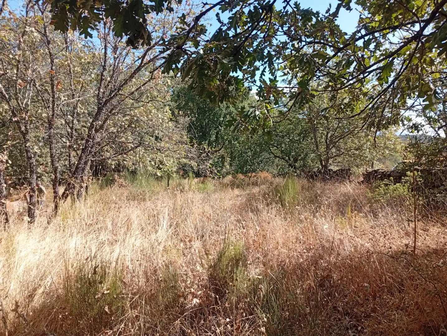 Terreni e lotti in vendita a Villanueva de la Vera, imagen 118