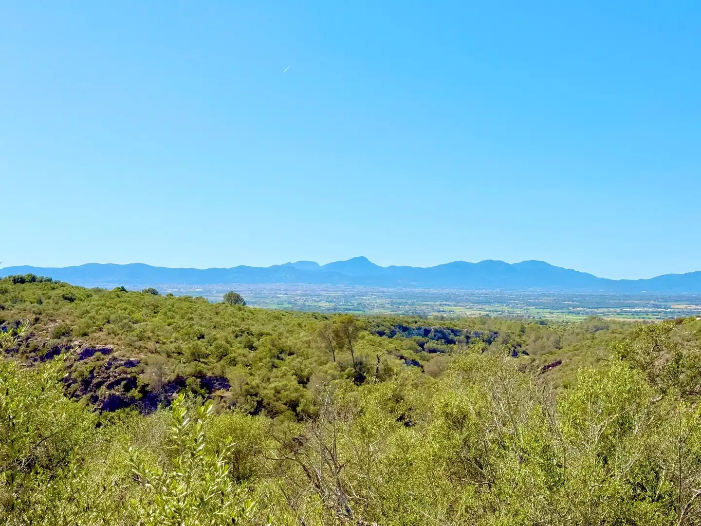 Chalet en venta en Llevant, imagen 6