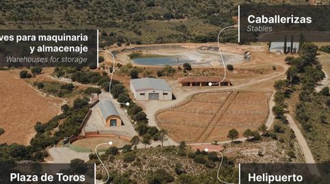 Foto 3 de Finca rústica en venta en Brea de Tajo, Madrid