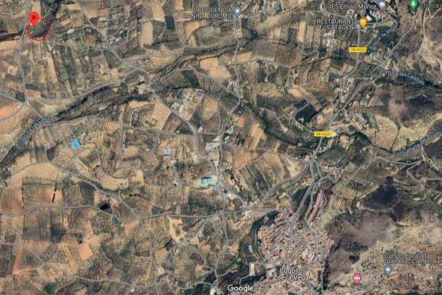 Terreno en Venta en  Cogollos de la Vega, Paraje Marchal Alto en Cogollos de la Vega