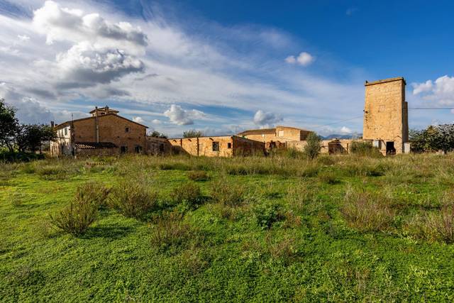 Finca rústica en Venta en Son Ferriol