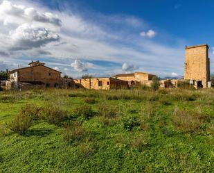 Exterior view of Country house for sale in  Palma de Mallorca