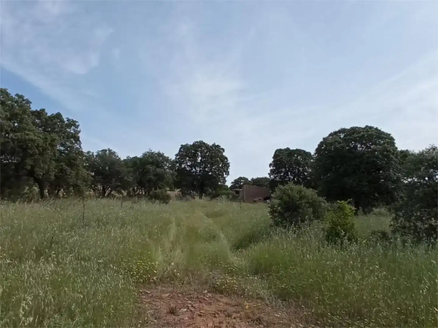 Terreno en venta en Brazatortas