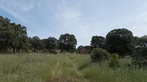 Foto 5 de Terreno en venta en Brazatortas, Ciudad Real