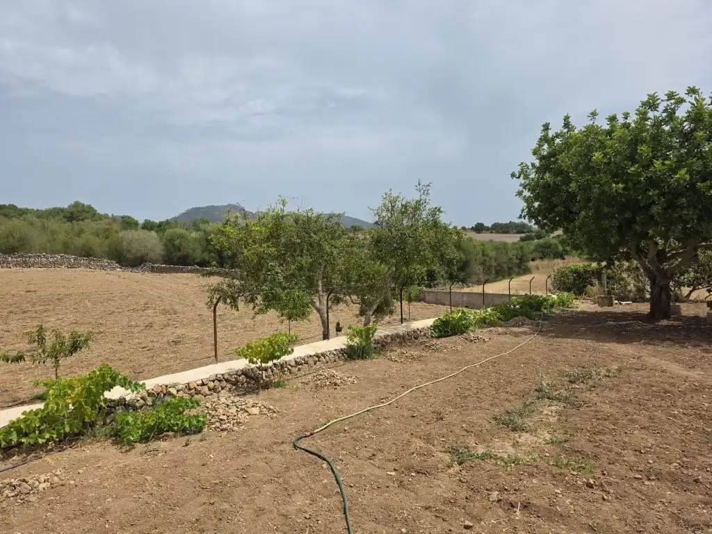 Casa rústica en alquiler en Manacor Centre, imagen 19
