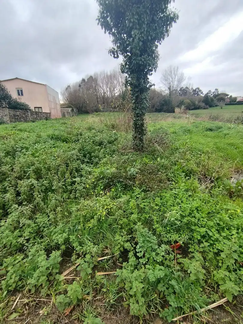 Terreno rustico in vendita a Calle Praia de Estacas 0