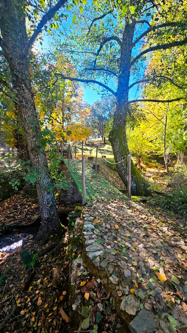 Jardín de Casa o chalet en venta en Cortelazor con Jardín privado, Terraza y Trastero