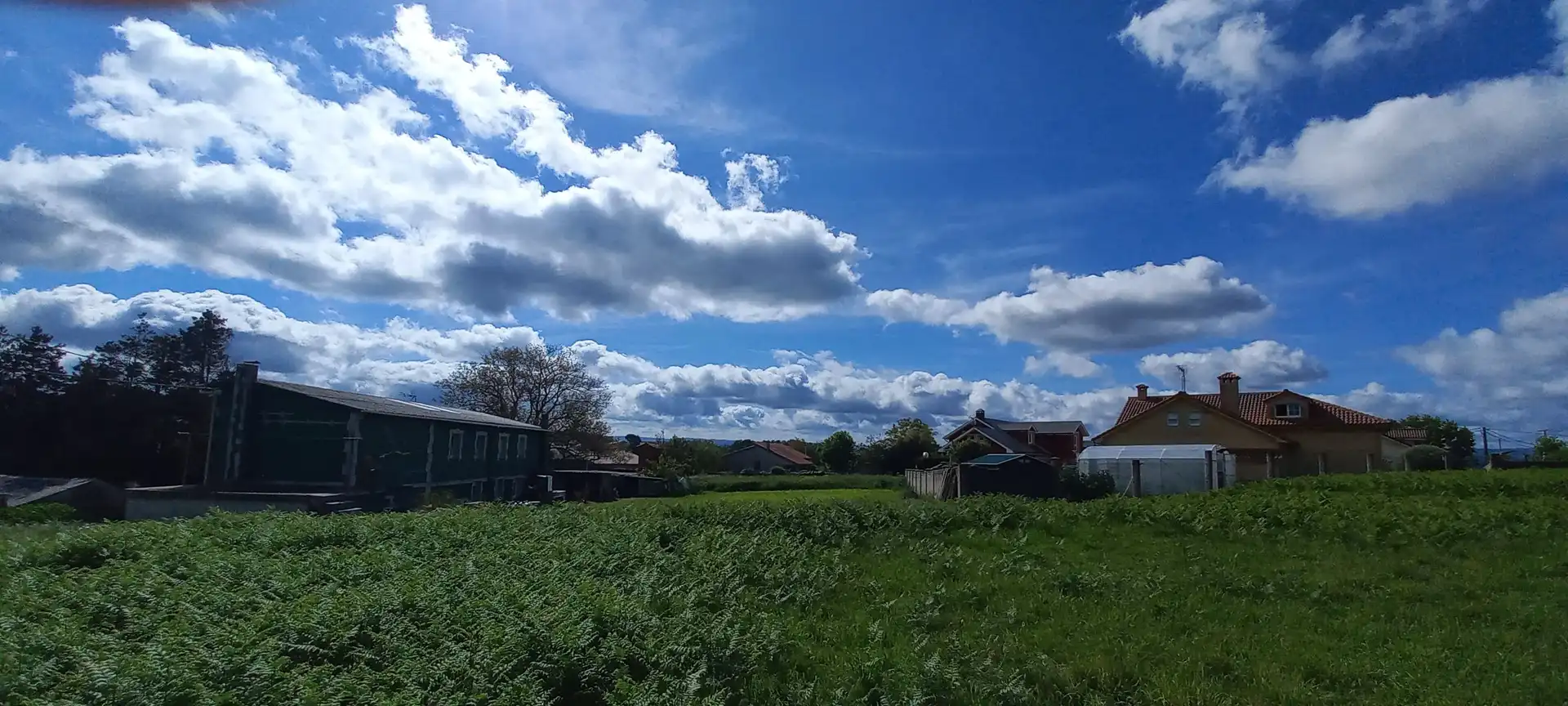Terreni e lotti in vendita a Pombo, imagen 18