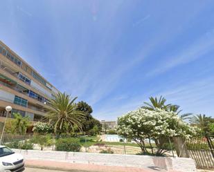 Vista exterior de Estudi en venda en Guardamar del Segura amb Calefacció, Terrassa i Piscina
