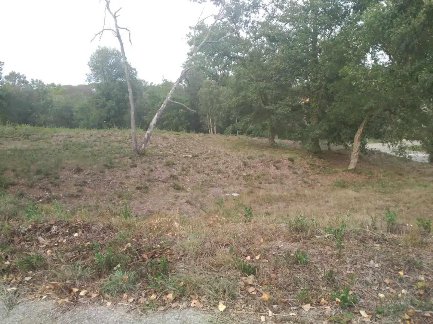 Terreno residencial en venta en Urbanitzacio Mas Llunes