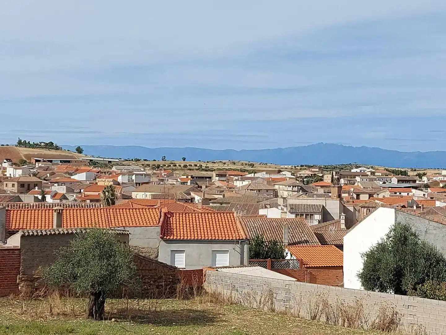 Vista exterior de Finca rústica en venda en Valdeverdeja, Toledo
