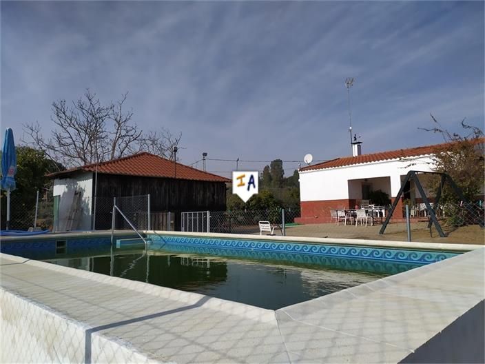 Piscina de Casa o xalet en venda en Lora del Río amb Aire condicionat, Terrassa i Traster
