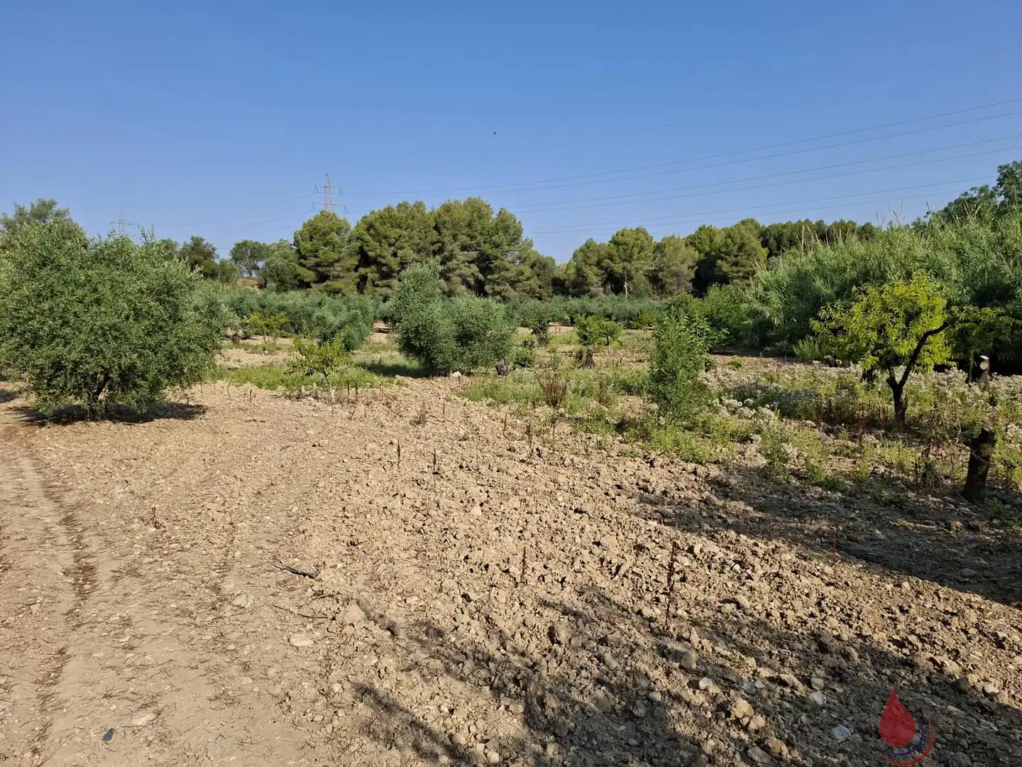 Terrenys i solars en venda a L'Arboç, imagen 3