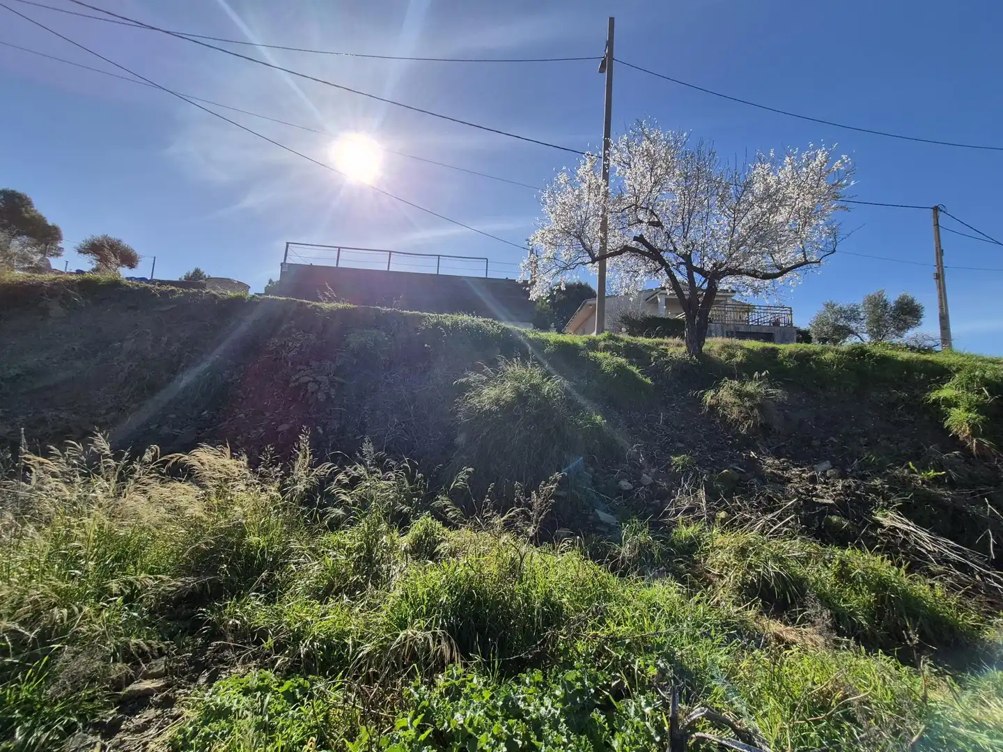 Residential land for sale in de la Llebre 19A, imagen 7