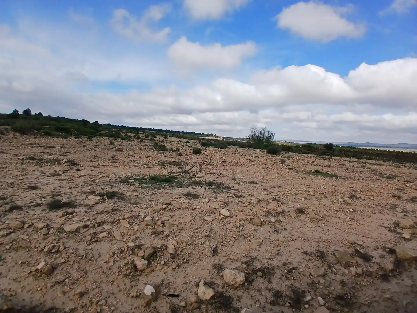 Residential land for sale in Yecla, imagen 16
