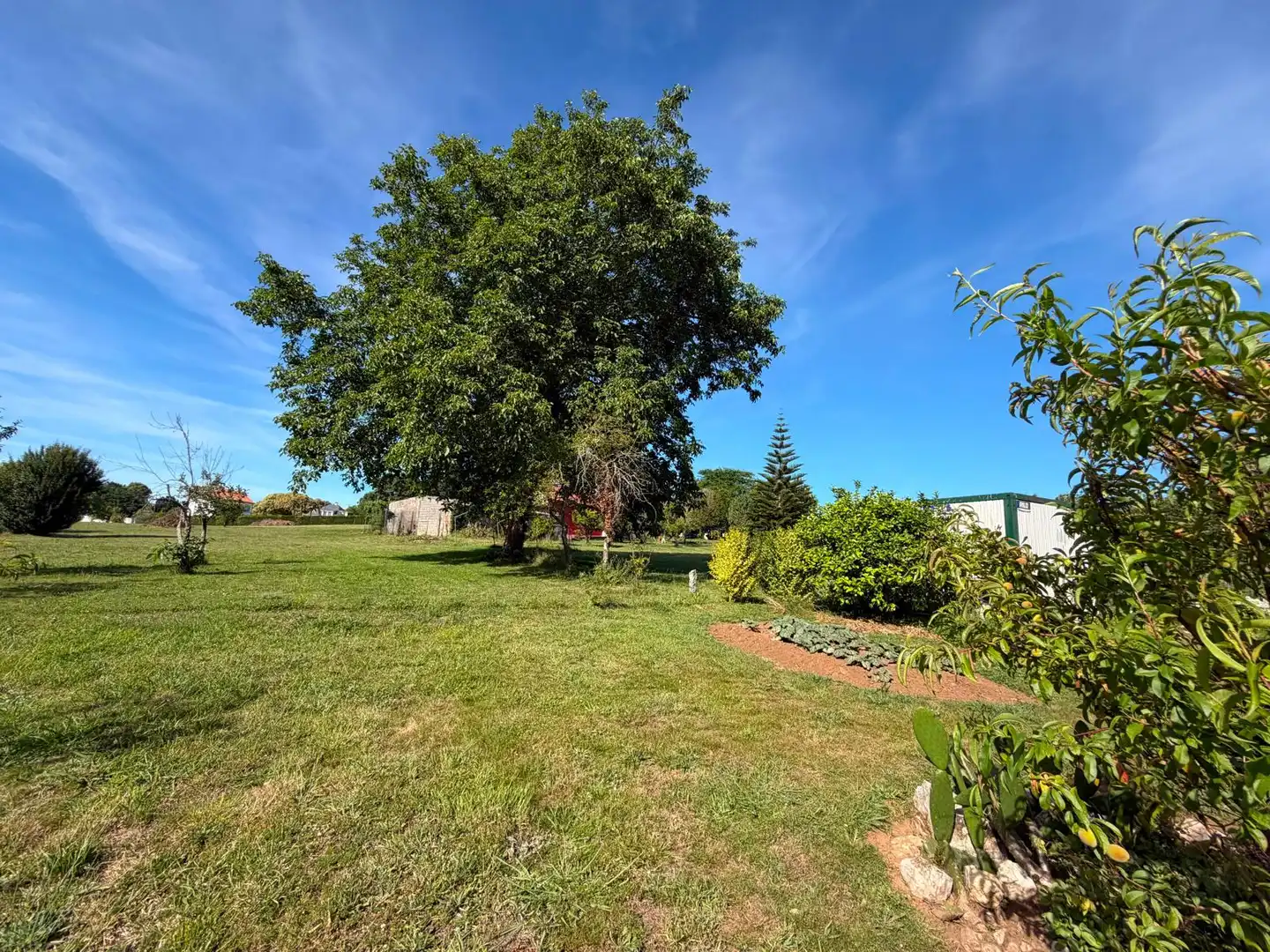Land for sale in Fene