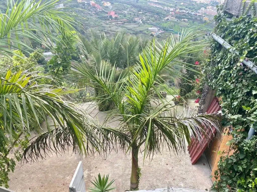 Country homes for sale in La Orotava  with Alarm